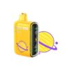 GEEK BAR VAPE 9000 PUFF – STRAWBERRY BANANA